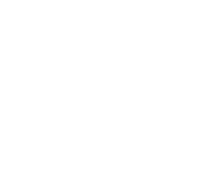 wycon franchising